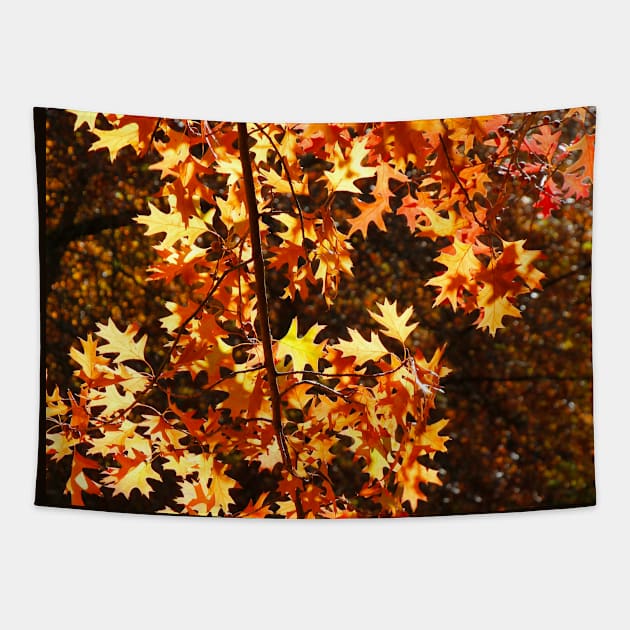 Autumn Leaves Tapestry by jwwallace