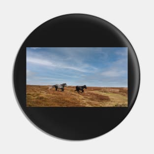 Wild Welsh Ponies Pin