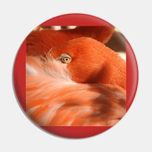 Caribbean Flamingo Pin