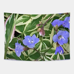 Variegated leaves with Light Blue Flowers Shape - Floral Photograph - Early Summer Flowers Tapestry