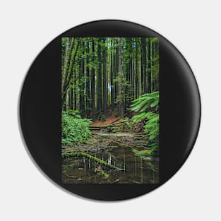 Otways Redwood Forest Pin