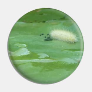 Caterpillar on Waterlily V3 Pin