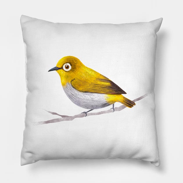 Indian White Eye Bird Species Pillow by yuliia_bahniuk