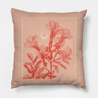 Luna | Coral Haze Version Pillow