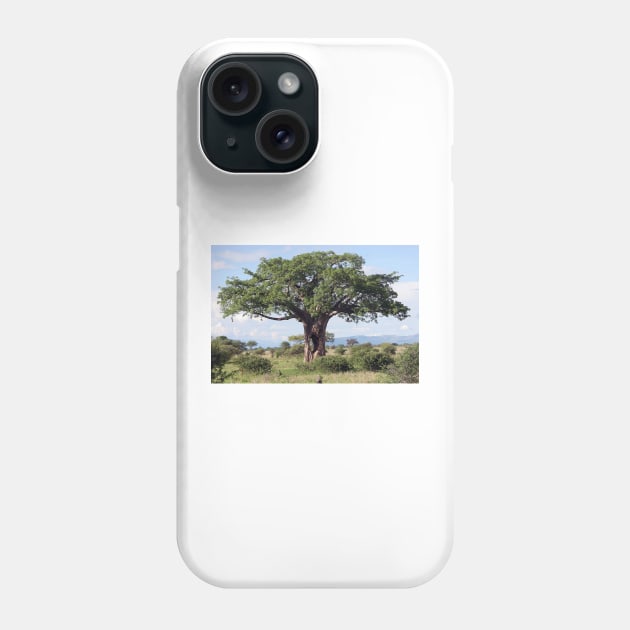 Hole in the Baobab Tree Phone Case by JohnDalkin