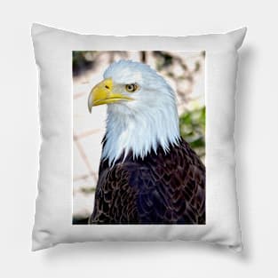 American Bald Eagle Pillow