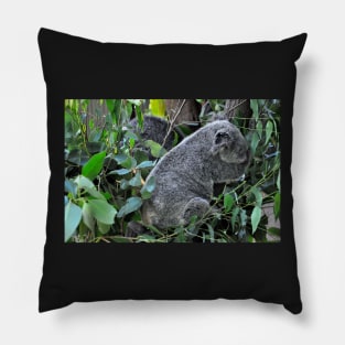 Australie - Cairns, Kuranda Pillow