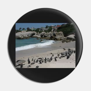 Boulders Beach, Table Mountain National Park, South Africa Pin