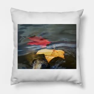 Autumn Floating Leaves Pillow