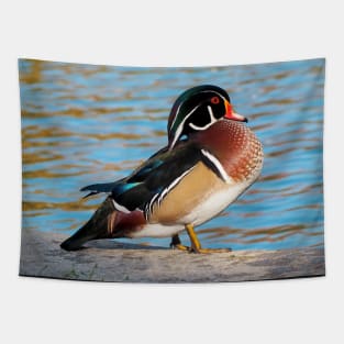 Wood Duck Posing Next To a Pond Tapestry