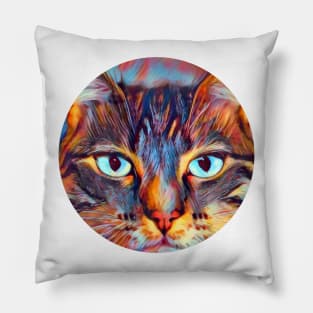 Curious mycat, revolution for cats Pillow