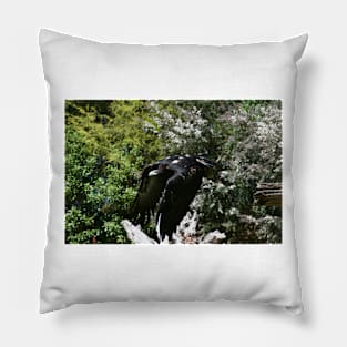 Eagle In Flight Pillow