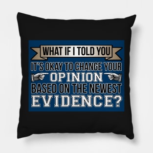 Evidence Pillow