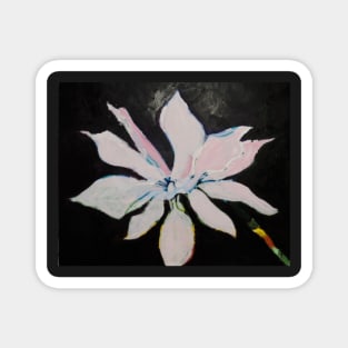 Pink and White Flower Magnet