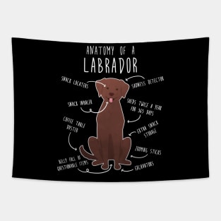 Chocolate Labrador Retriever Dog Anatomy Tapestry