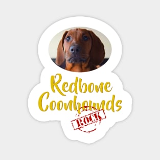 Redbone Coonhounds Rock! Magnet