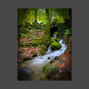 Lake District Waterfall T-Shirt