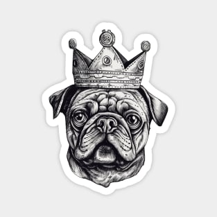 Majesty the Pug Magnet