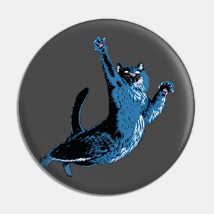 Crazy cat! Pin