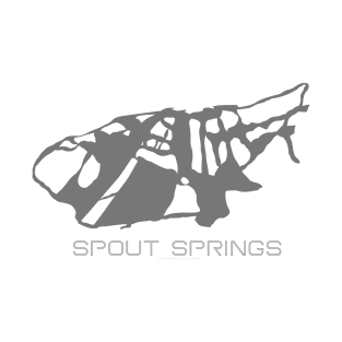 Spout Springs Resort 3D T-Shirt