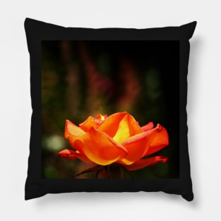 Red Rose Glowing Pillow