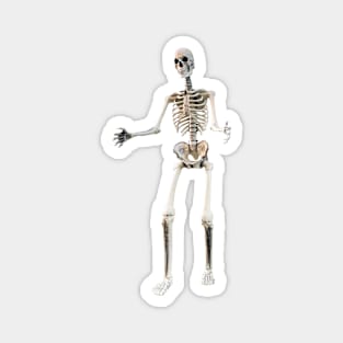Skeleton Hug Magnet