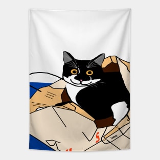 Cute Tuxedo cat in a paper bag Copyright by TeAnne Tapestry