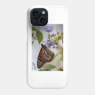 Migration Series VIII Phone Case