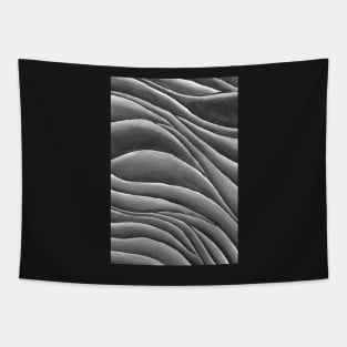 Shallow Space Tapestry