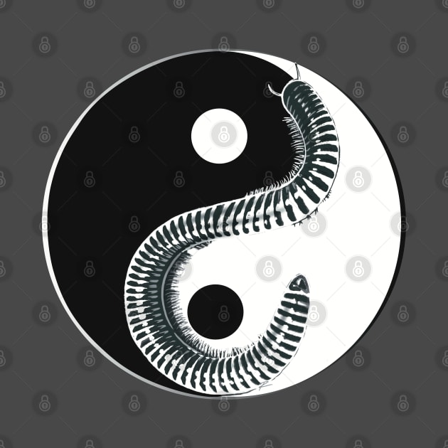 Yin Yang Millipede by Beauty Bug Hub