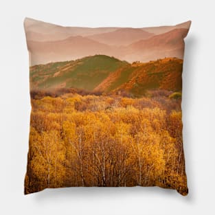 Fall Hills Pillow