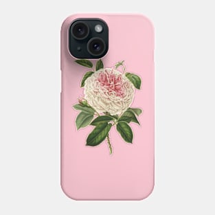 Beautiful Rose Flower Vintage Botanical Illustration Phone Case