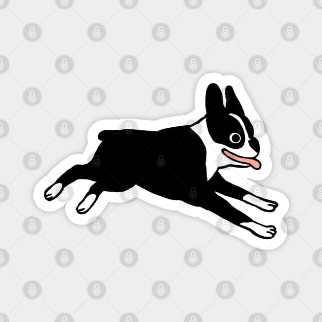 Boston Terrier | Cute Black and White Cartoon Dog Magnet by Coffee Squirrel