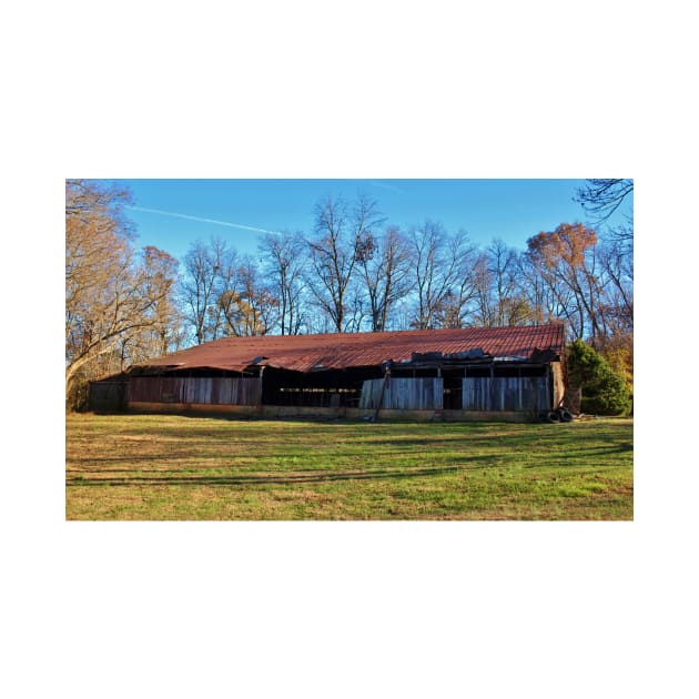 Rustic Shed by Cynthia48