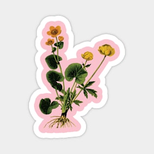 Colorful flowers and leaves Magnet