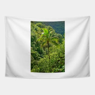 Iao Valley State Monument Study 3 Tapestry