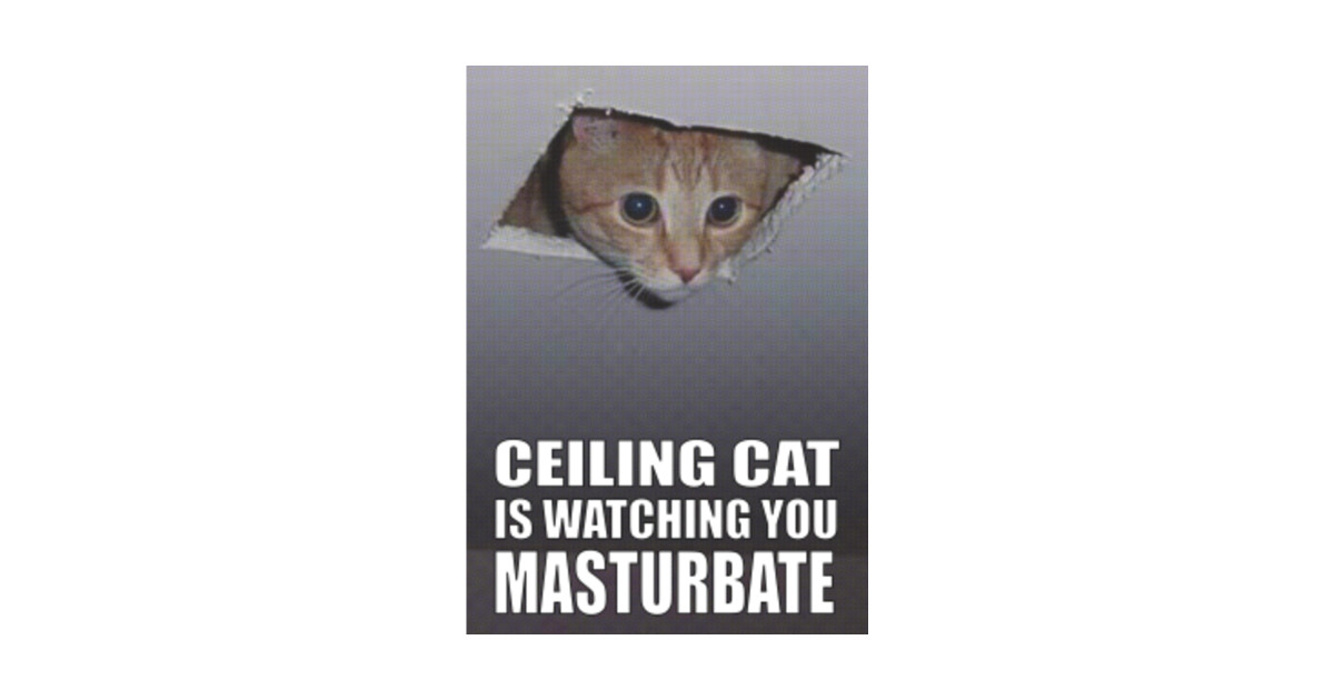 Ceiling Cat By Grmemes