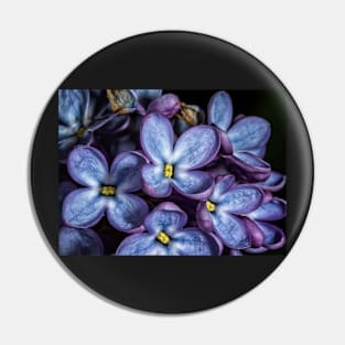 Colorful Group of Flowers Pin