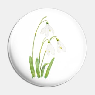 3 snowdrops flowers watercolor Pin