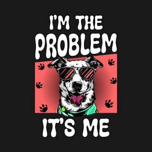 I'm the problem. its me T-Shirt