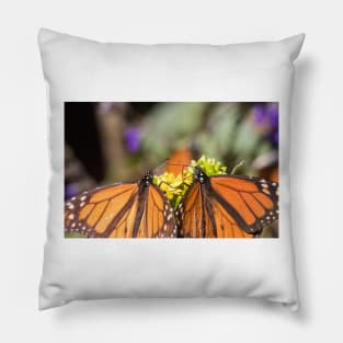 Flutter Friends Pillow