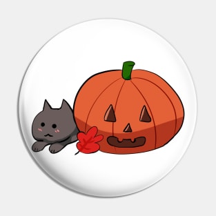 pumpkin cat Pin