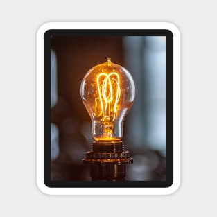 Edison's Light Bulb, or a bright idea!! Magnet