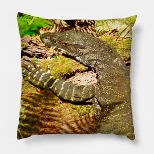 Goanna chilling in the Bush Pillow