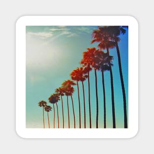 Standing Tall like the Palm Trees in a Summer Sky in San Diego California Magnet