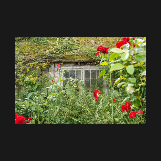 Cottage window. by sma1050