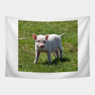 Piggy Tapestry