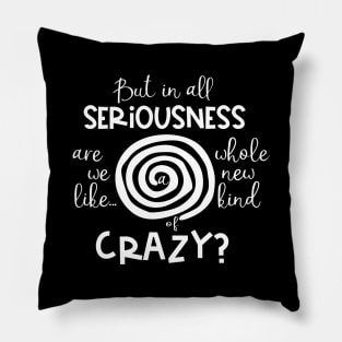 But in all Seriousness, are We like a Whole New Kind of Crazy? Pillow