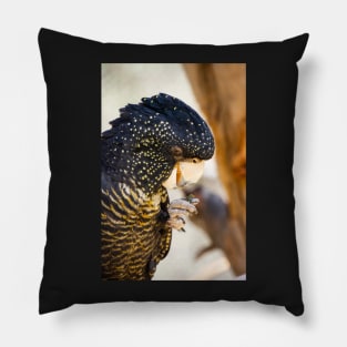 Red tailed black cockatoo. Pillow