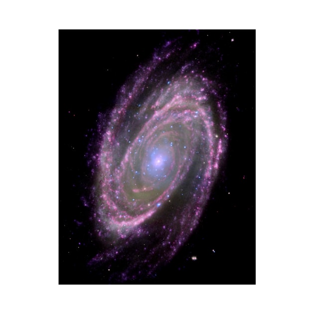 Spiral galaxy M81, composite image (C006/8626) by SciencePhoto